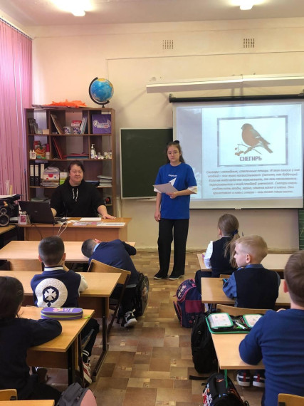 День зимующих птиц.